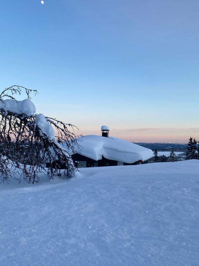 Cabin In The Mountain, Outstanding View & Solar Energy Vollen Esterno foto