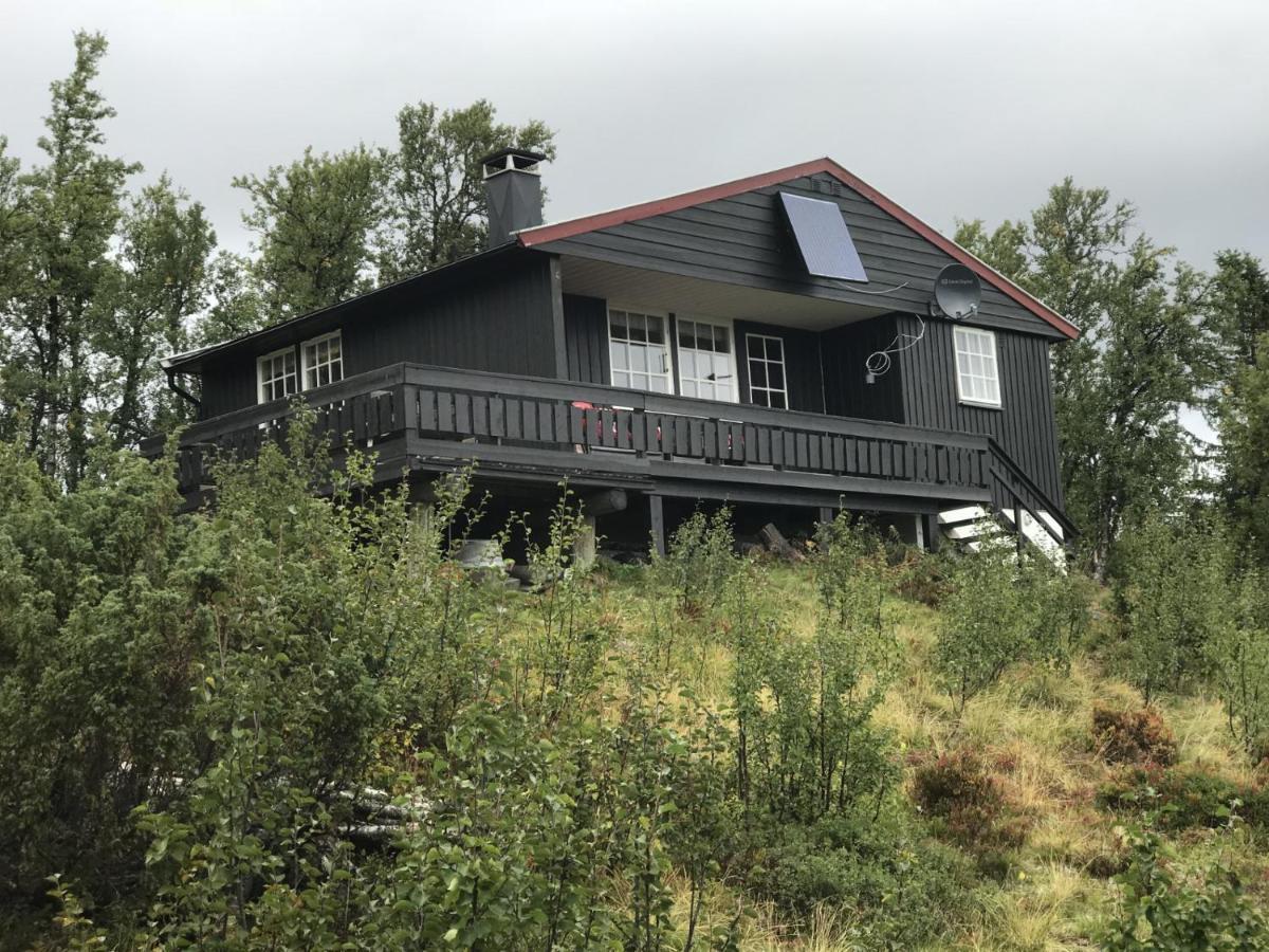 Cabin In The Mountain, Outstanding View & Solar Energy Vollen Esterno foto