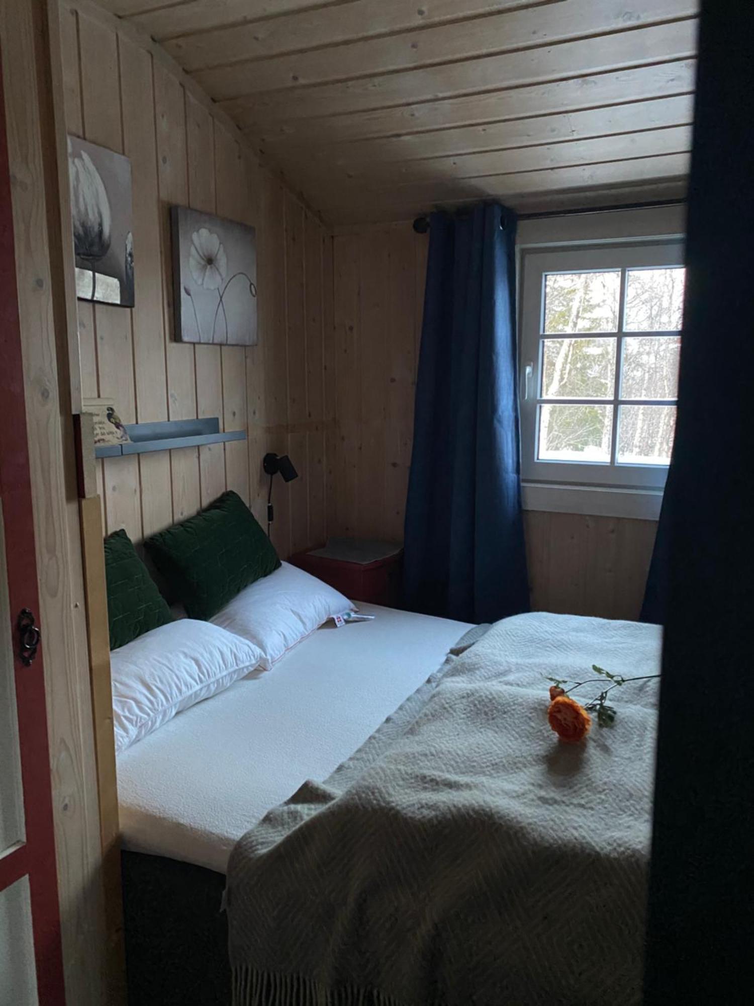 Cabin In The Mountain, Outstanding View & Solar Energy Vollen Esterno foto